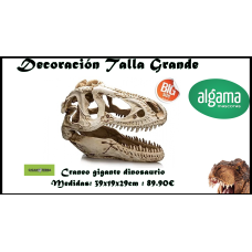 Cráneo de dinosaurio gigante   